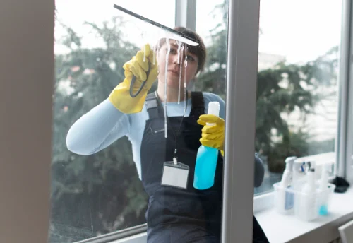 Nettoyage de vitres intérieures et extérieures à Chaussan